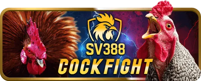 Dịch vụ chăm sóc khách hàng chuyên nghiệp của 98win1 nhà cái